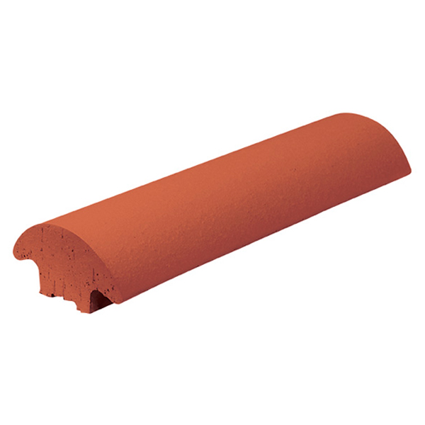 Zaunleiste rot Ruby Red